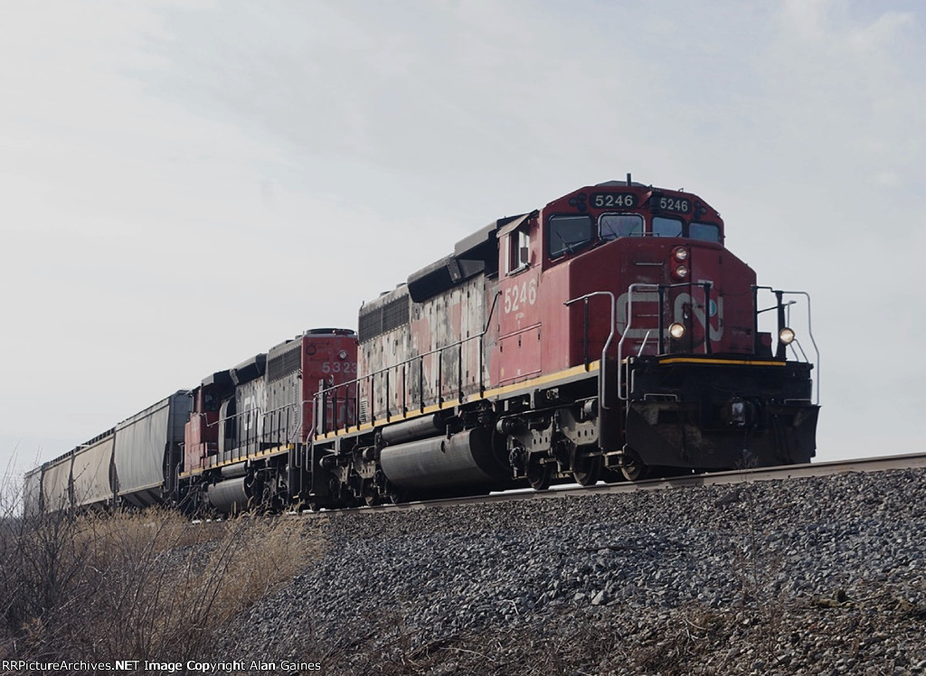 CN 5246